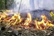 В шести поселениях Елизовского района объявлен повышенный класс пожарной опасности